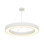 Светильник DWR 1003D8.8 DesignLed DWR-1003D8.8-60-NW