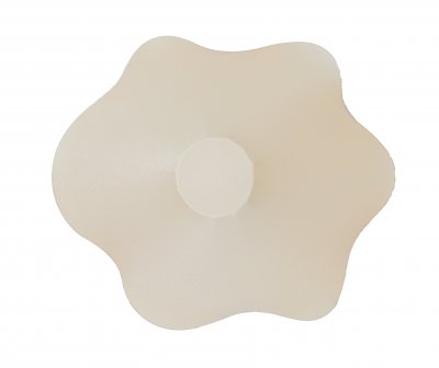 Потолочный светильник Daisy AP1 10 09s