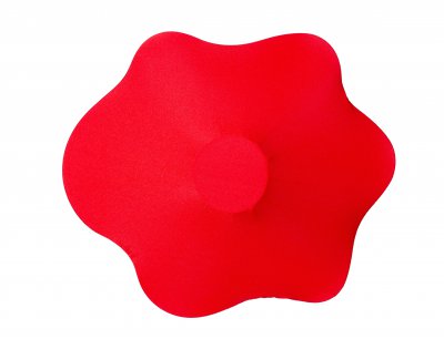 Потолочный светильник Daisy AP1 10 10s