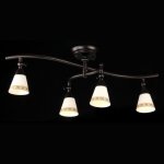 Люстра Maytoni ECO001-04-R Spot 1