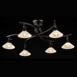 Люстра Maytoni ECO002-06-R Spot 2