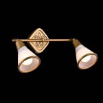 Светильник поворотный спот Maytoni ECO008-02-G Luther