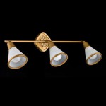 Светильник поворотный спот Maytoni ECO008-03-G Luther