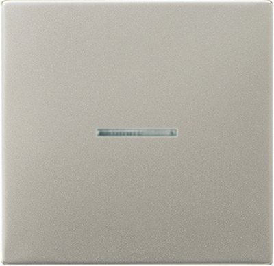 JUNG LS 990 Edelstahl Клавиша 1-я с/п (ES2990KO5) JUNG LS 990 Edelstahl Клавиша 1-я с/п (ES2990KO5)