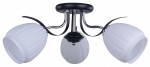 Светильник Escada 180/3PL Black/Chrome