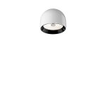 Потолочный светильник Flos F9550009 WAN C/W