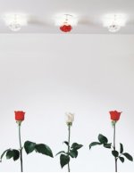 Встраиваемый светильник Axo Light FASHIRAZCSTR12V SHIRAZ