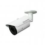 IP камера FE-IPC-BL300PVA Falcon eye