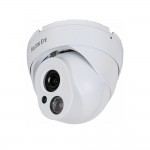 IP камера FE-IPC-DL100P Eco Falcon eye