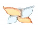 Люстра потолочная Ambrella FK211/4 WH 72W 450*450*70 (ПДУ РАДИО 2.4) COMFORT