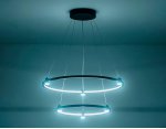Подвесной светодиодный светильник Ambrella FL5506 FL
