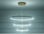 Подвесной светодиодный светильник Ambrella FL5516 FL