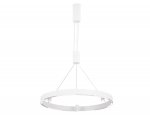 Подвесной светодиодный светильник Ambrella FL5844 FL