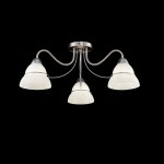 Светильник Freya FR2013CL-03N 