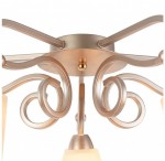 Потолочный светильник Freya FR2062-PL-05-G Silvana