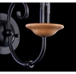 Светильник бра Freya FR2170-WL-01-BR Benigna