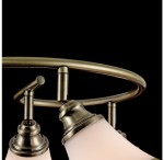 Потолочный светильник Freya FR2272-CL-06-BS Jasinta