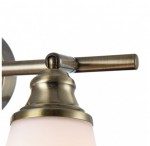 Светильник поворотный спот Freya FR2272-CW-02-BS Jasinta