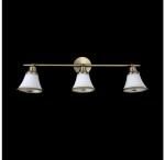 Светильник поворотный спот Freya FR2272-CW-03-BS Jasinta