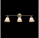 Светильник поворотный спот Freya FR2272-CW-03-BS Jasinta