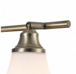 Светильник поворотный спот Freya FR2272-CW-03-BS Jasinta