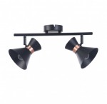 Светильник поворотный спот Freya FR4273-CW-02-B Izzy