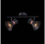 Светильник поворотный спот Freya FR4273-CW-02-B Izzy