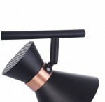 Светильник поворотный спот Freya FR4273-CW-02-B Izzy