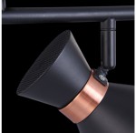 Светильник поворотный спот Freya FR4273-CW-02-B Izzy