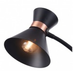 Торшер черный Freya FR4273-FL-01-B Izzy