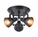 Потолочный светильник Freya FR4276-CL-03R-B Ibbi