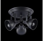 Потолочный светильник Freya FR4276-CL-03R-B Ibbi