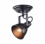 Светильник поворотный спот Freya FR4276-CW-01-B Ibbi