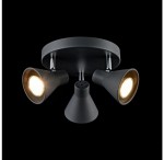 Светильник поворотный спот Freya FR4308-CL-03R-GR Claris