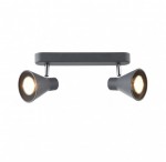 Настенно-потолочный светильник Freya FR4308-CW-02-GR Claris