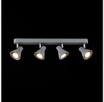 Настенно-потолочный светильник Freya FR4308-CW-04-GR Claris