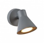 Настенно-потолочный светильник Freya FR4308-WL-01-GR Claris