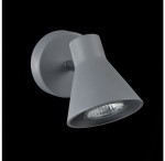 Настенно-потолочный светильник Freya FR4308-WL-01-GR Claris