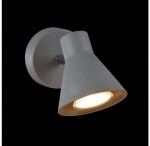 Настенно-потолочный светильник Freya FR4308-WL-01-GR Claris