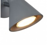 Настенно-потолочный светильник Freya FR4308-WL-01-GR Claris