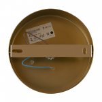 Светильник настенный бра Freya FR5124WL-01BS Zelda