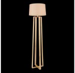 Торшер Freya FR5134-FL-01-BG Nubi