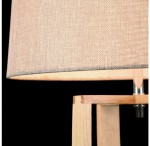 Торшер Freya FR5134-FL-01-BG Nubi