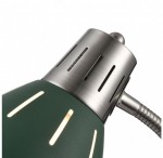 Настольная лампа FR5151-TL-01-GN Nina Freya