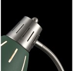 Настольная лампа FR5151-TL-01-GN Nina Freya