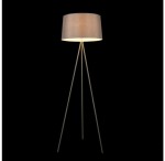 Торшер Freya FR5152-FL-01-GR Bonita