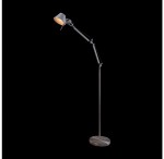 Торшер Freya FR5169-FL-01-S Carla