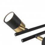 Светильник Freya FR5201PL-10B