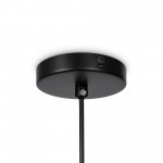 Подвесной светильник Freya FR5218PL-01B1 Eleon