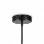 Подвесной светильник Freya FR5249PL-03BG1 AvaGarden 